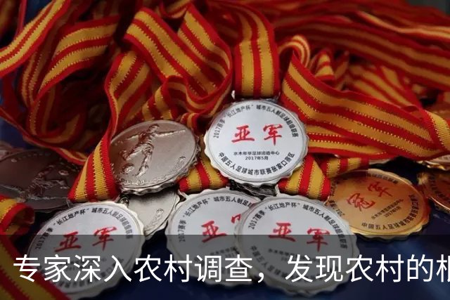专家深入农村调查，发现农村的根本问题不是收入太低