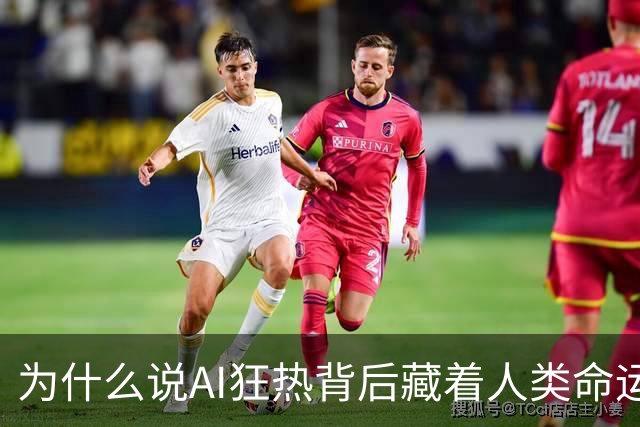 为什么说AI狂热背后藏着人类命运的拷问？