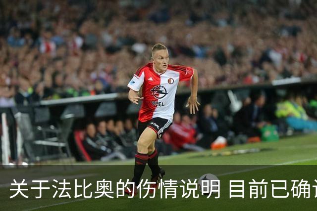 关于法比奥的伤情说明 目前已确诊为腓骨远端骨折