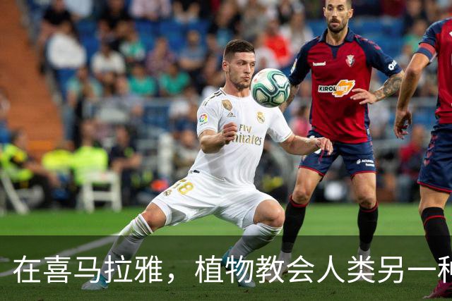 在喜马拉雅，植物教会人类另一种活法