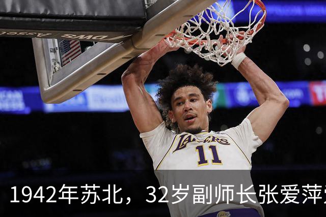 1942年苏北，32岁副师长张爱萍爱上了项英23岁遗孀，众人皆反对
