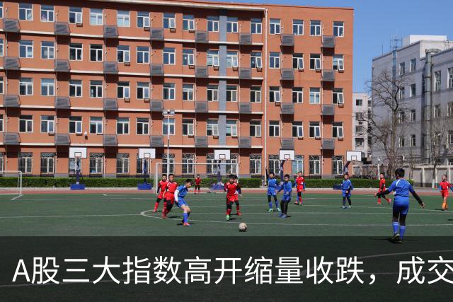 A股三大指数高开缩量收跌，成交额1.43万亿，IT服务行业领涨！